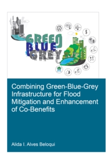 Combining Green-Blue-Grey Infrastructure for Flood Mitigation and Enhancement of Co-Benfits