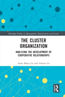 The Cluster Organization : Analyzing the Development of Cooperative Relationships