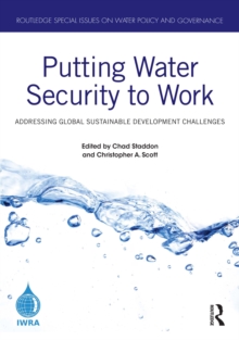 Putting Water Security to Work : Addressing Global Sustainable Development Challenges