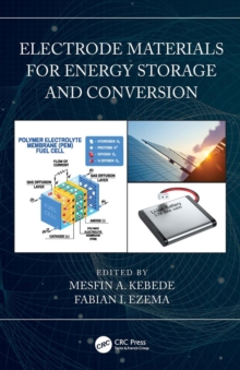 Electrode Materials for Energy Storage and Conversion