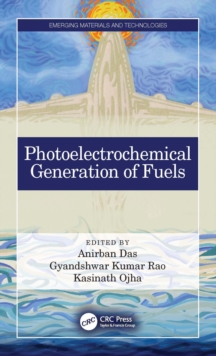 Photoelectrochemical Generation of Fuels