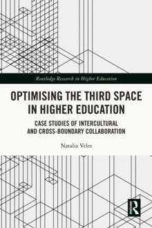 Optimising the Third Space in Higher Education : Case Studies of Intercultural and Cross-Boundary Collaboration