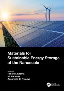 Materials for Sustainable Energy Storage at the Nanoscale