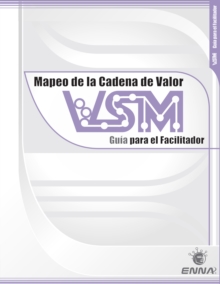 VSM Facilitator Guide (Spanish)