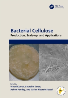 Bacterial Cellulose : Production, Scale-up, and Applications