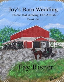 Joy's Barn Wedding