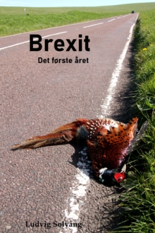 Brexit Det forste aret