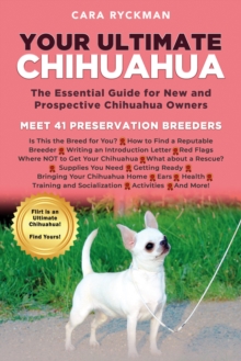 Your Ultimate Chihuahua