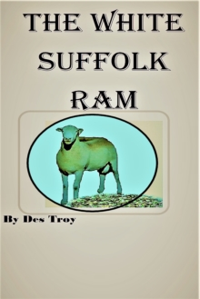 White Suffolk Ram