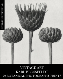 Vintage Art : Karl Blossfeldt 20 Botanical Photography Prints