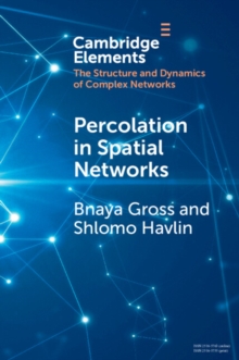 Percolation in Spatial Networks : Spatial Network Models Beyond Nearest Neighbours Structures