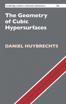 The Geometry of Cubic Hypersurfaces