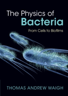 Physics of Bacteria : From Cells to Biofilms