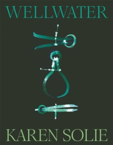 Pan Macmillan Wellwater , Winner Of The T.S. Eliot Prize And The Forward Prize For Best Collection