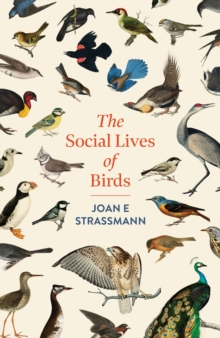 Headline Social Lives Of Birds , A Must-read For Bird And Nature Lovers