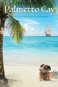Palmetto Cay : In Paradise Nothing Is as It Seems. Absolutely Nothing