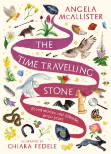 The Time Travelling Stone : Seven stories, one hillside, 6000 years