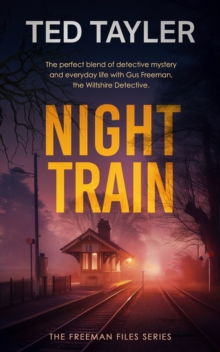 Night Train : A Cold Case Murder Mystery Series