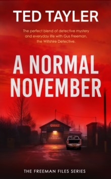 A Normal November : A Cold Case Murder Mystery Series