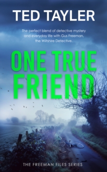One True Friend : A Cold Case Murder Mystery Series