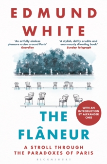 The Flaneur : A Stroll through the Paradoxes of Paris