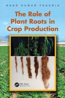 The Role of Plant Roots in Crop Production