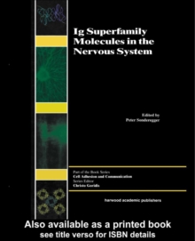 Ig Superfamily Molecules in the Nervous System