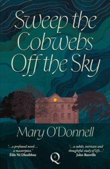 Sweep the Cobwebs Off the Sky