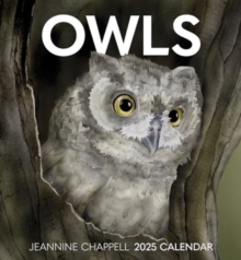 Owls : Jeannine Chappell 2025 Wall Calendar