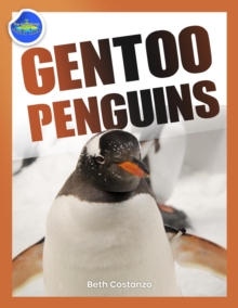 Gentoo Penguins activity workbook ages 4-8