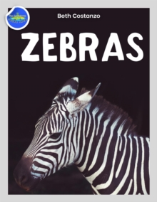 Zebra Activity Workbook ages 4-8