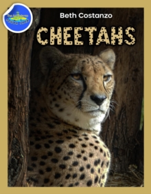 Cheetah Activity Workbook ages 4-8