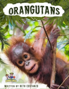 Orangutan Activity Workbook for Kids age 4-8!