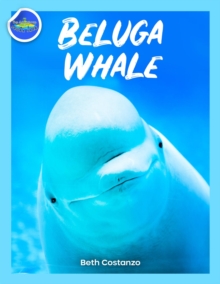 Beluga Whale Activity Workbook For Kids!