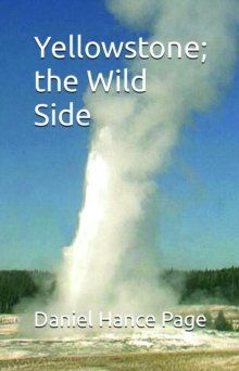 Yellowstone; the Wild Side