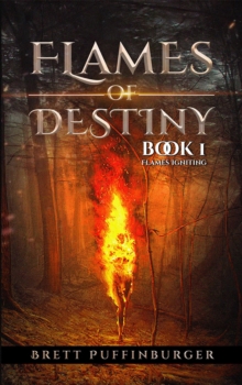 Flames of Destiny Book 1: Flames Igniting : Flames Igniting