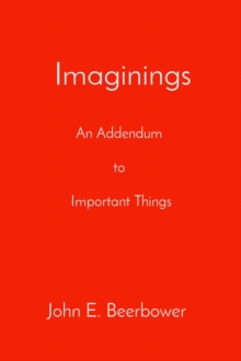 Imaginings : An Addendum  to   Important Things