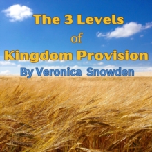 The 3 Levels of Kingdom Provision : Discover How God Provides For His Children Regardless of Income, Education or Background