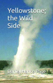 Yellowstone; the Wild Side