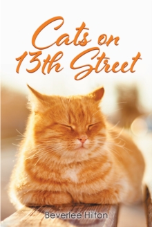 Cats on 13th Street