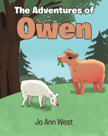 The Adventures of Owen