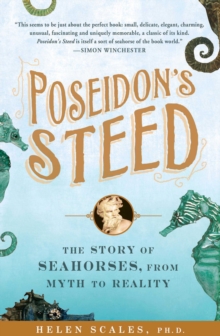 Poseidon's Steed