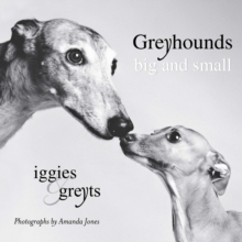 Greyhounds Big and Small