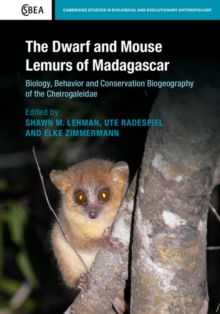 The Dwarf and Mouse Lemurs of Madagascar : Biology, Behavior and Conservation Biogeography of the Cheirogaleidae, Hardback Book The Dwarf and Mouse Lemurs of Madagascar : Biology, Behavior and Conservation Biogeography of the Cheirogaleidae, Hardback Book