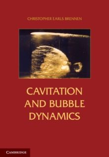 Cavitation and Bubble Dynamics