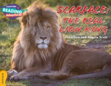 Cambridge Reading Adventures Scarface: The Real Lion King Gold Band