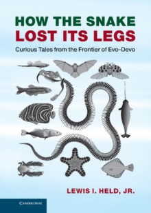 How the Snake Lost its Legs : Curious Tales from the Frontier of Evo-Devo