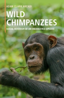 Wild Chimpanzees : Social Behavior of an Endangered Species