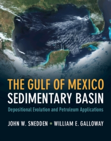 Gulf of Mexico Sedimentary Basin : Depositional Evolution and Petroleum Applications