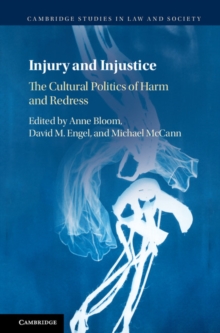 Injury and Injustice : The Cultural Politics of Harm and Redress